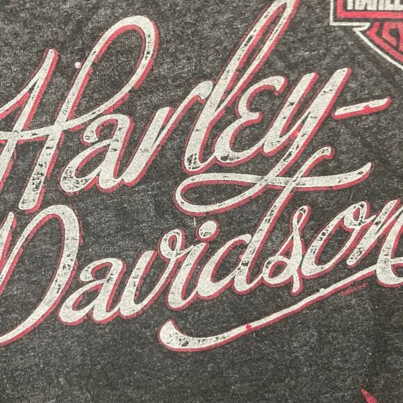 Harley Davidson Womens 1X Wide Neck Tee Biker Metallic Motorcycle Grunge Flames - Picture 3 of 4